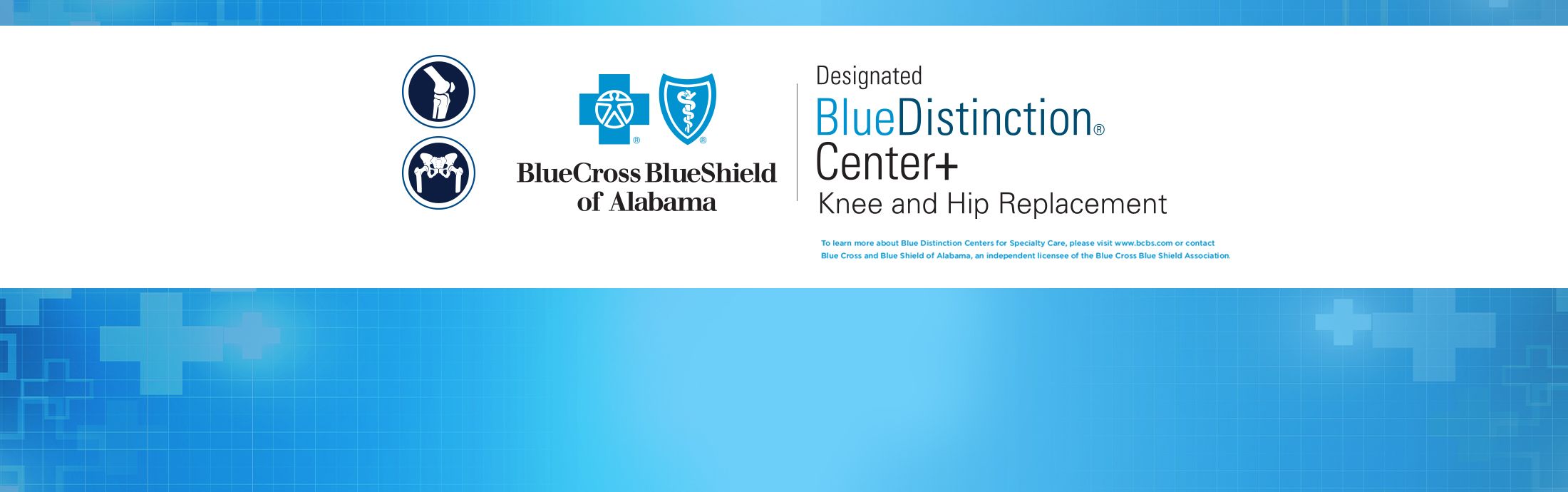 Blue Cross Blue Shield /BCBS